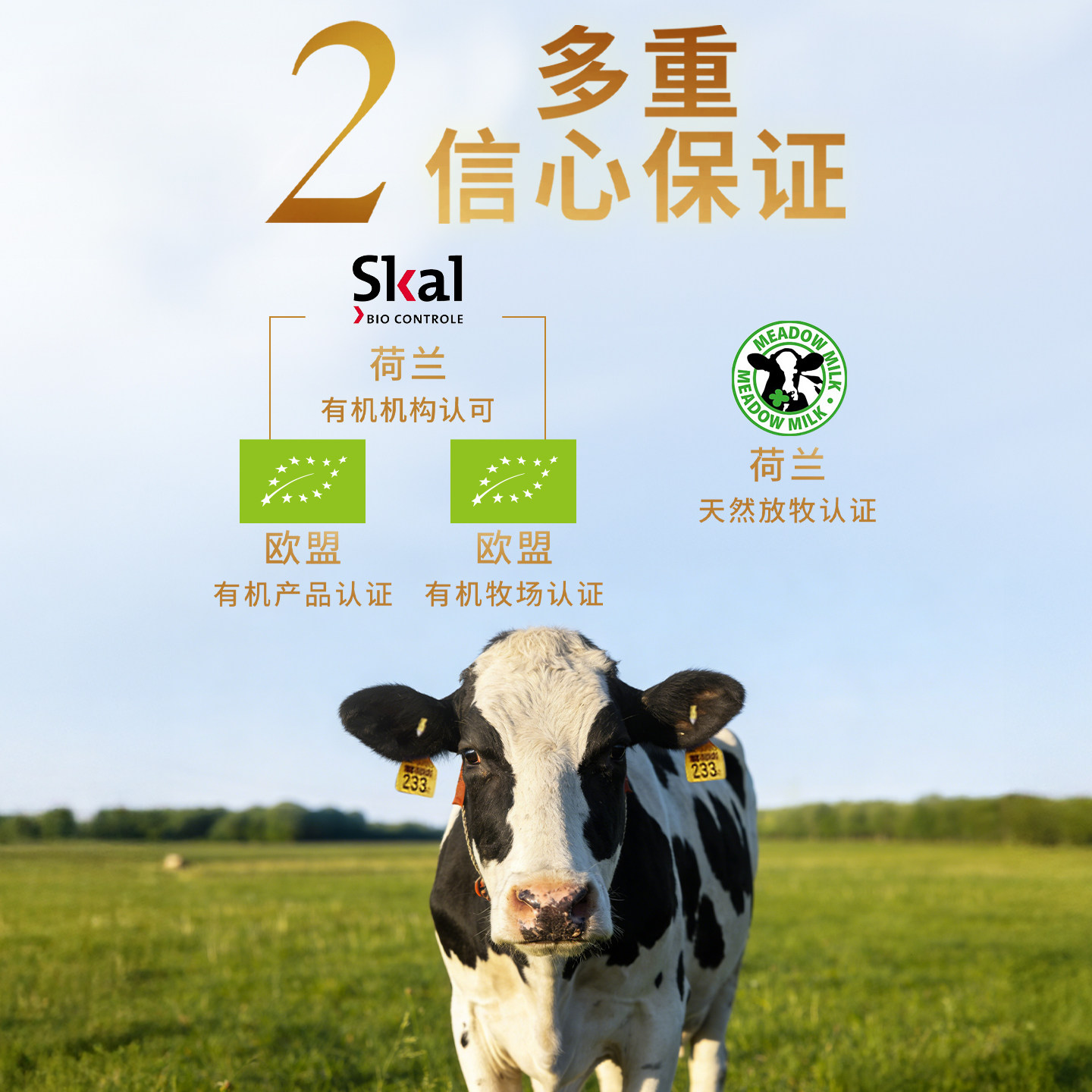 图 4