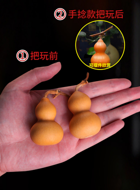 forsunny福三源葫芦天然生长