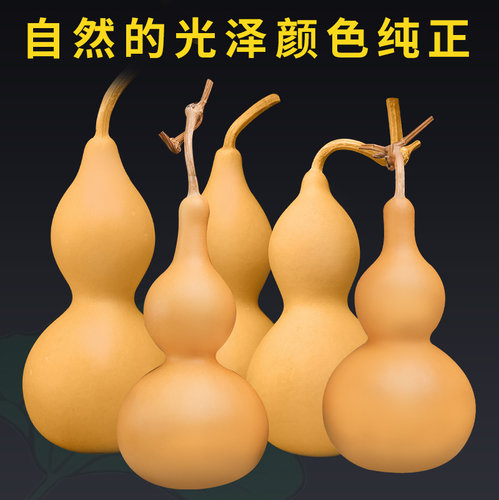 彩绘葫芦摆件天然玩具儿童手工DIY工艺品手绘画创意素材美术制作 - 图0