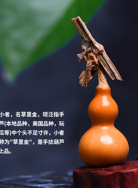 葫芦把件文玩天然特小龙头精品