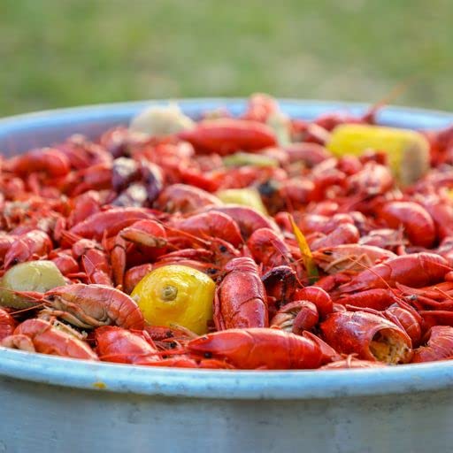 美国路易斯安那海鲜龙虾螃蟹调味粉louisiana crawfish seasoning - 图1