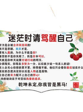 迷茫时请骂醒自己挂牌考学党神器励志学生用品奖励礼品书房提示牌