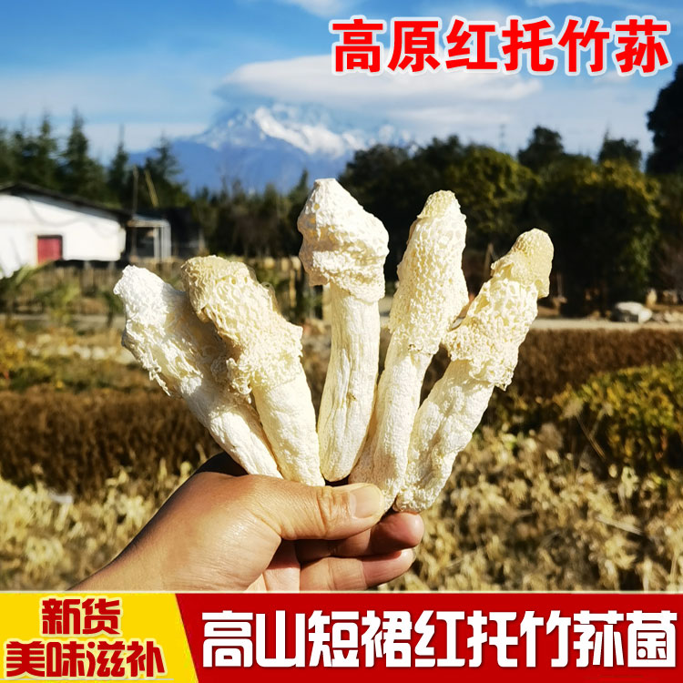 云南新鲜红托竹荪花干货仿野生短裙竹荪菌无硫煲汤食材非织金竹笙-图0