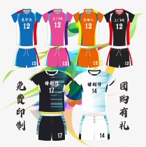 Volleyball Apparel Group Purchase Students Suit Speed Dry Free Design India Word Competition Training Team Conserved Womens Volleyball Sports Short Sleeves