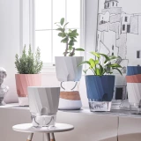 Ленивый самопоглощенный цветочный горшок Гидропонный растение