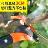 Инструменты для садоводства, ветви, ножницы для сада фруктовых деревьев, высокие ветви, ветви, ветви, ветви, ветви, ветви и ножницы