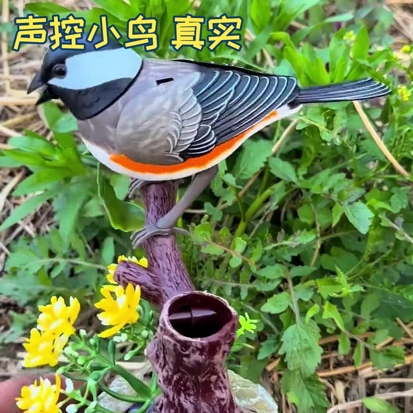 图3