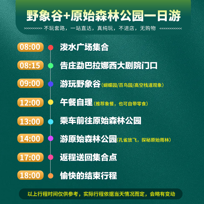 野象谷+原始森林公园景区专线直通车纯玩一日游0购物可选品质小团 - 图2