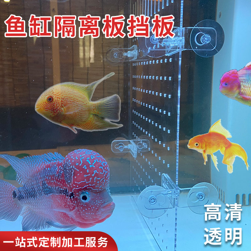 亚克力鱼缸隔板挡板透明隔离板隔断挡小鱼苗防斗鱼水族吸盘可定制 - 图0