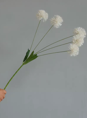 仿真蒲公英假花 5头结婚花花球 假花蒲公英葱球花拍照道具diy结婚