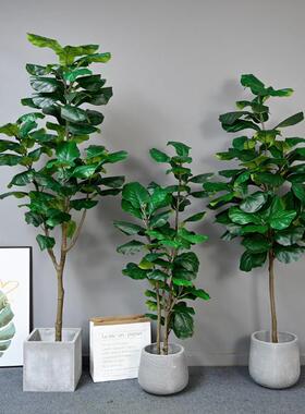 北欧仿真散尾葵龟背树绿植装饰橱窗景旅人蕉贵妃葵琴叶榕加州蒲葵