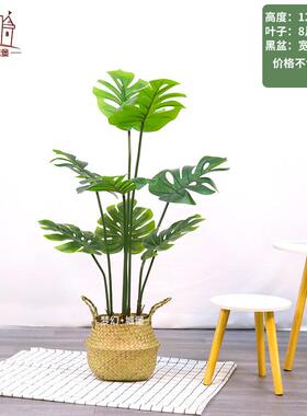 仿真龟背叶植物ins北欧植物盆栽室内摆件假绿植装饰家居客厅盆景