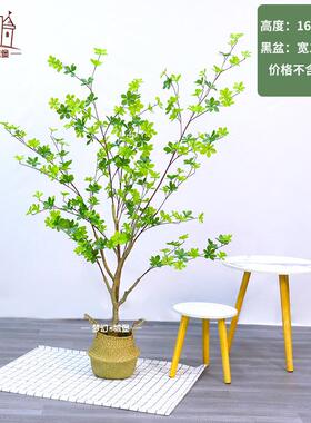 日本仿真吊钟绿植盆栽植物马醉木家居婚庆装饰假树落地摆件