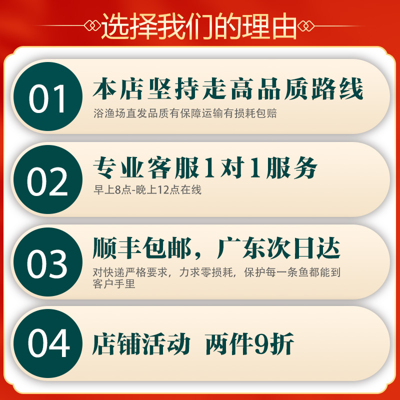 热带观赏斑马鱼活鱼好养宝莲灯淡水金鱼苗孔雀鱼小型红绿灯科小鱼 - 图3
