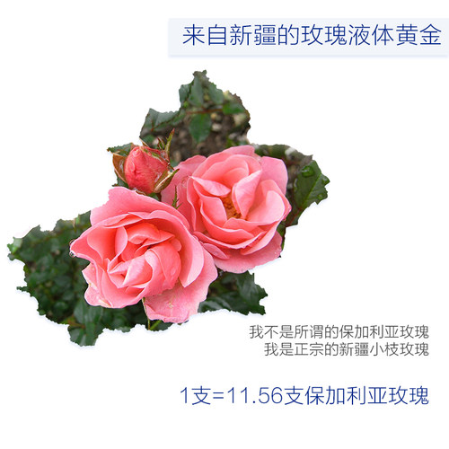 新疆大马士革玫瑰花水1000ml爽肤水 亮肤保湿补水oem贴牌 - 图1