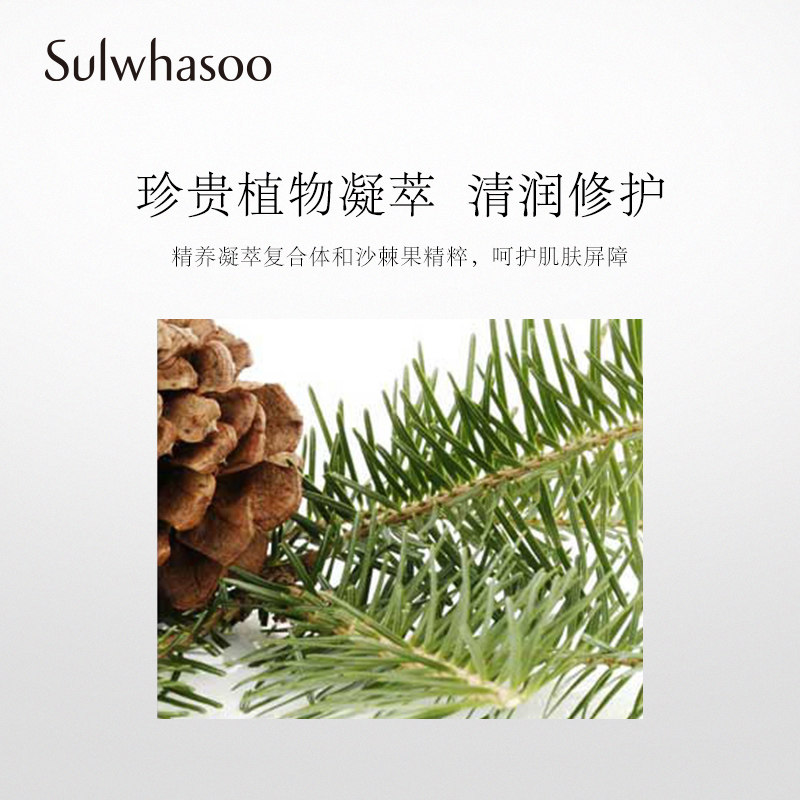  Sulwhasoo雪花秀男士面部乳霜