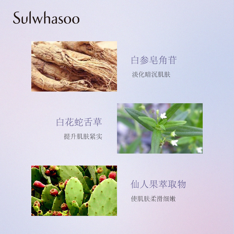  Sulwhasoo雪花秀乳液/面霜