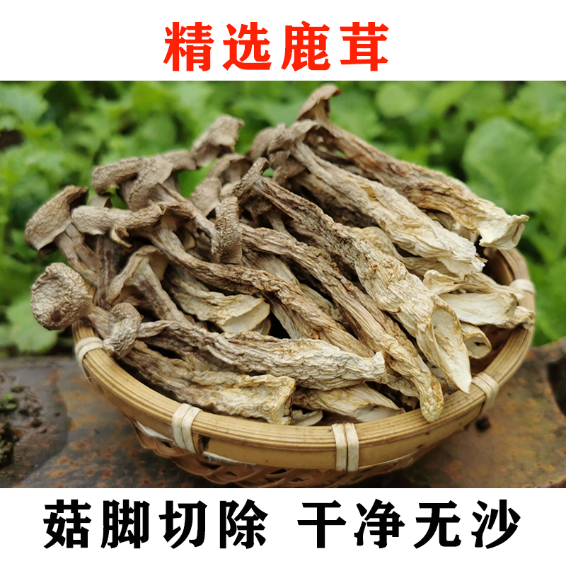 云南鹿茸菇特级干货500g包邮正宗鹿茸菌2024美味食用菌菇蘑菇香菇-图0