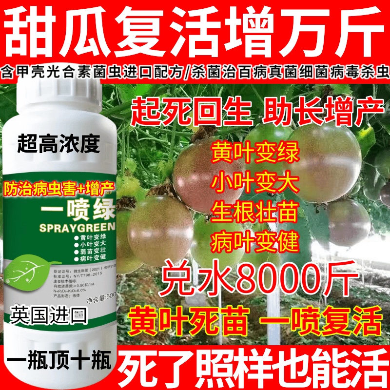 甜瓜复活增万斤一喷绿黄叶杀菌杀虫治病增产治病防虫保花保果农药 - 图2