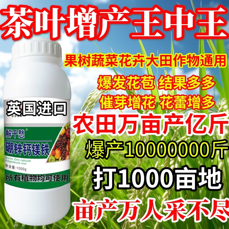 茶叶增产王中王钙镁硼锌铁微量元素水溶肥果蔬通用叶面肥增产增收 - 图0