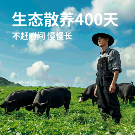 Honjia Liangtian с высоким содержанием белка, черная свиная колбаса, питательные закуски