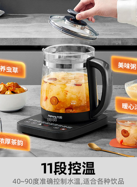 九阳绿红黑茶细分煮茶模式养生壶