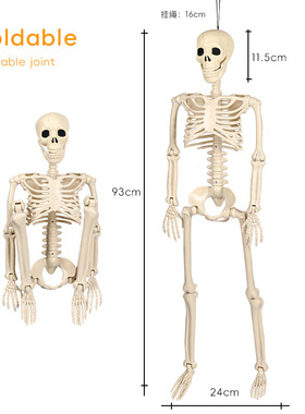 万圣节塑料骷髅骨架活动关节模