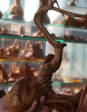 太行山崖柏根雕文玩摆件特色有螺旋孔送礼收藏 长辈领导春节送礼