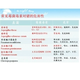 Мощные звери поклонения с заплесневелой плесенью и очисткой древних бактерий адсорбентской плесень и решающий 20 кг подлинной гарантии