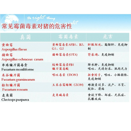 Мощные звери поклонения с заплесневелой плесенью и очисткой древних бактерий адсорбентской плесень и решающий 20 кг подлинной гарантии