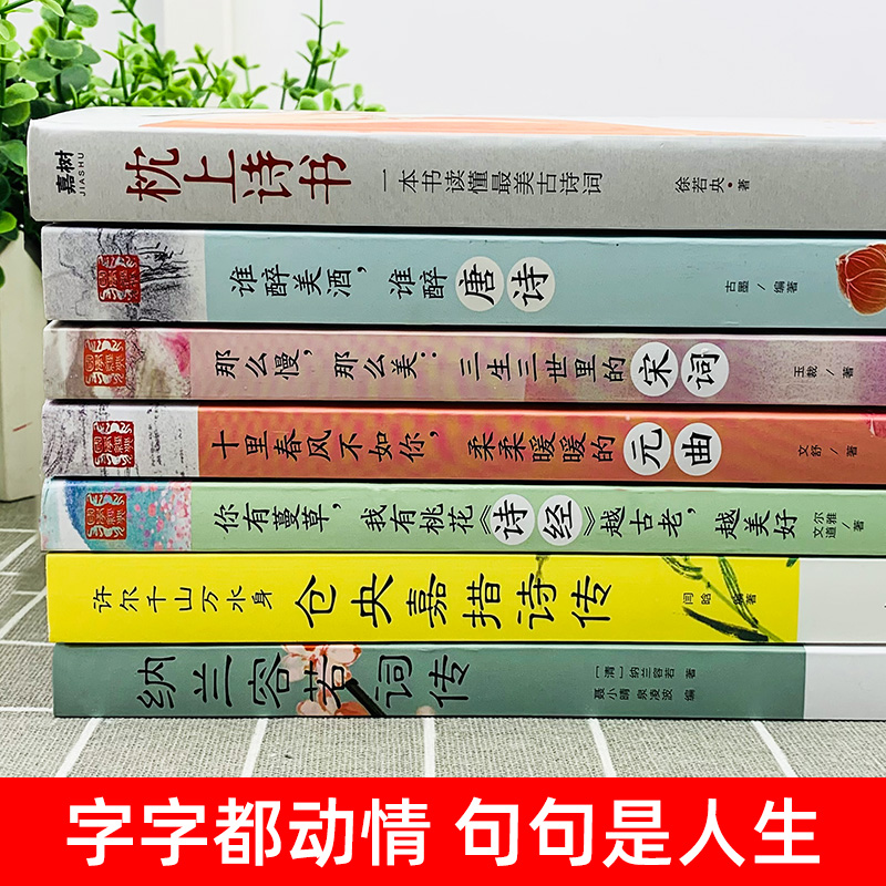 正版全7册中国诗词大会枕上诗书一本书读懂最美古诗词唐诗宋词元曲诗经仓央嘉措诗传纳兰容若词古代文化常识书籍全套系列珍藏版