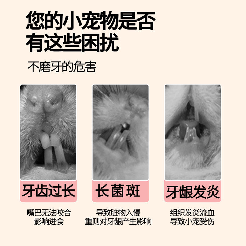 火山岩磨牙石兔子钙粉洁齿龙猫咬串草饼荷兰猪草棒金丝熊仓鼠零食,淘宝优惠券,粉丝福利购,淘宝优惠卷