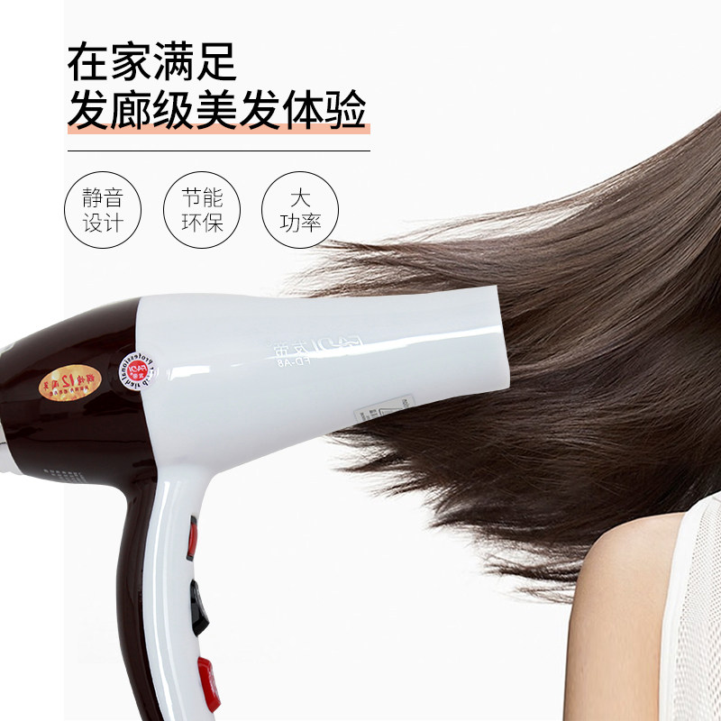 发帝A8电吹风机大功率恒温变频不伤发理发店美发发型师专用吹风筒