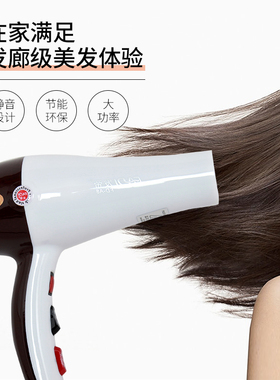 发帝吹风机发廊大功率变频大风力