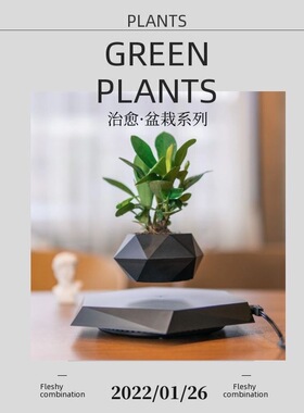 磁悬浮盆栽新奇特花盆创意盆景工艺品礼品教师节礼物客厅书房摆件