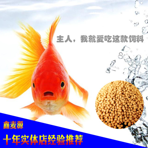 润三色锦鲤金鱼专用粮浮上颗粒不浑水鱼食高蛋白增色体育成饲料 - 图0
