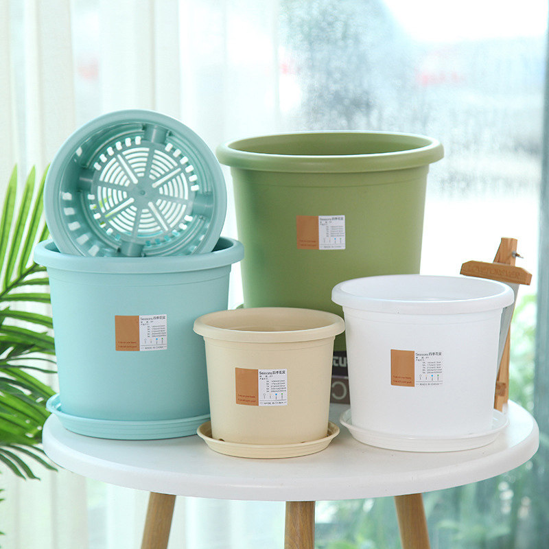 花盆+泥土 适合种子种球球根花卉盆土套装 矮加仑盆 保湿透气土壤,淘宝优惠券,粉丝福利购,淘宝优惠卷