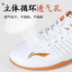 Li Ning Tai Chi shoes high-end men's spring and autumn shoes
