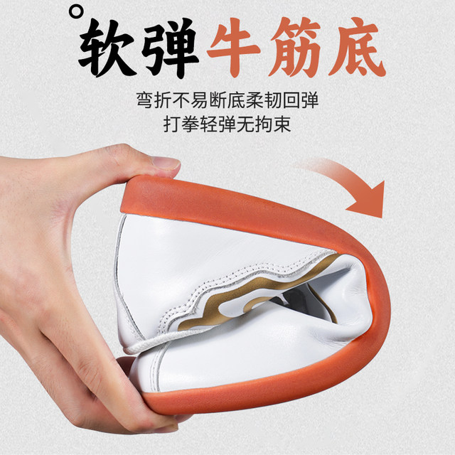 Li Ning Tai Chi ເກີບຫນັງແທ້ Tendon Sole Baduanjin