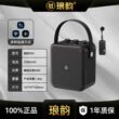 琅韵D93蓝牙户外音响100W大功率K歌便携露营广场舞电吹管乐器音箱