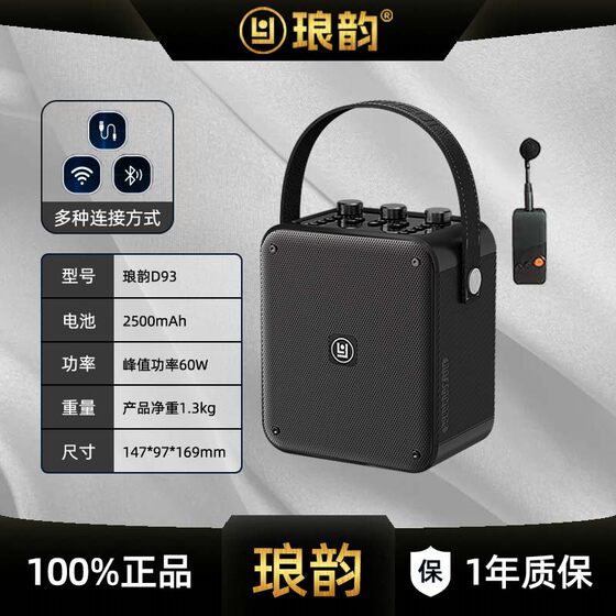 琅韵D93蓝牙户外音响100W大功率K歌便携露营广场舞电吹管乐器音箱