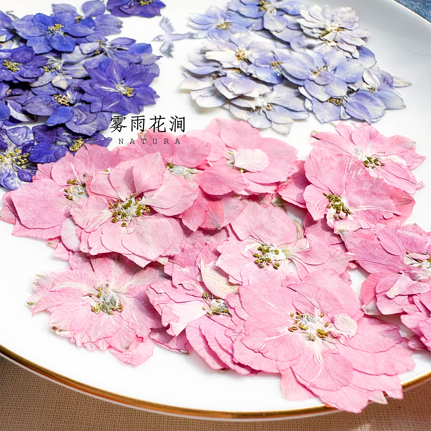 飞燕花千鸟花干花原色植物标本画框幼儿园手工蜡烛台灯滴胶手机壳 - 图2