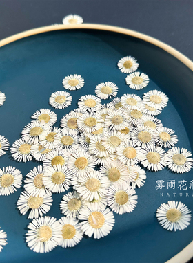 精品染白色针菊押花滴胶相框画
