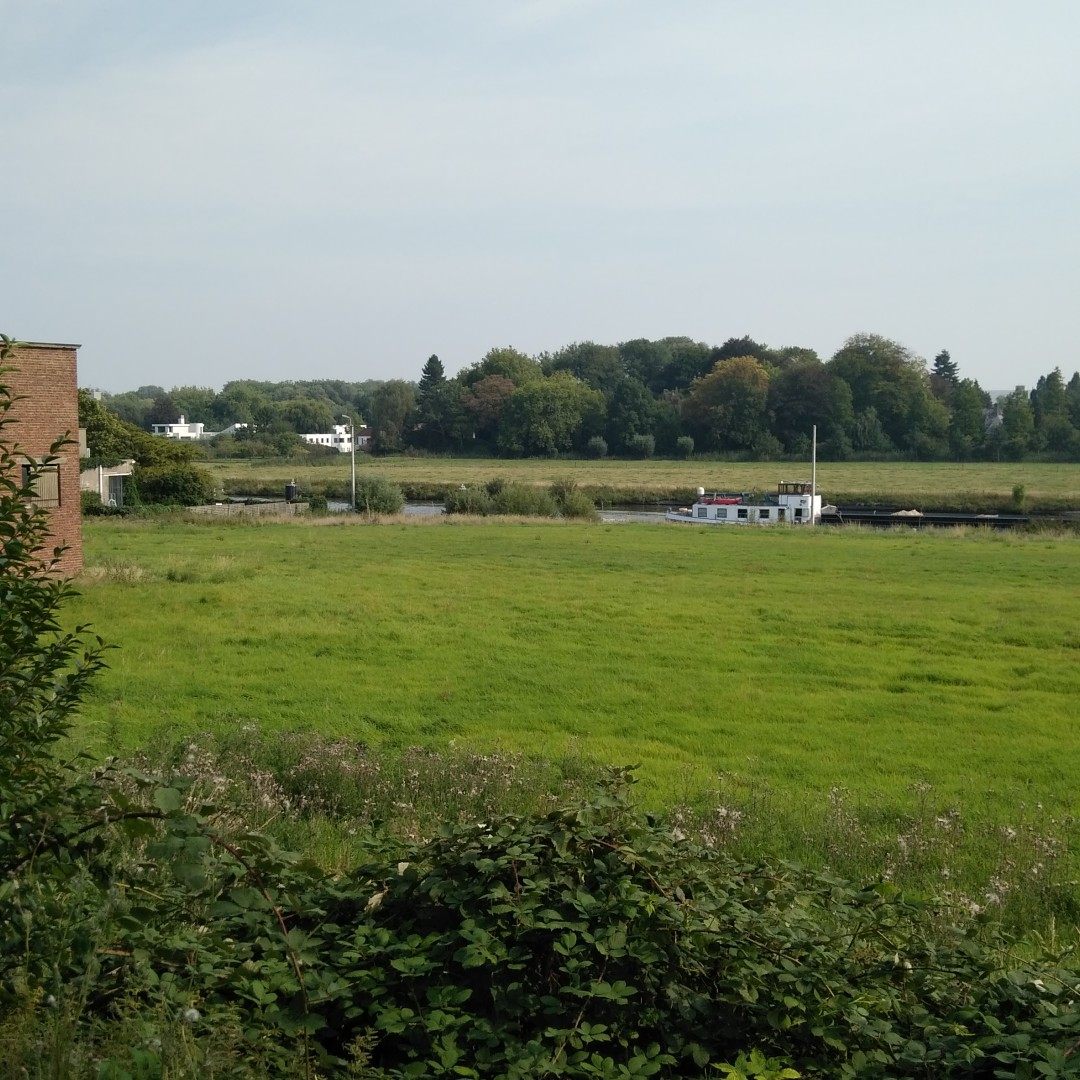 试验用硝酸钾高钾水溶肥速效全吸收果树蔬菜花卉肥料1kg纯度高,淘宝优惠券,粉丝福利购,淘宝优惠卷