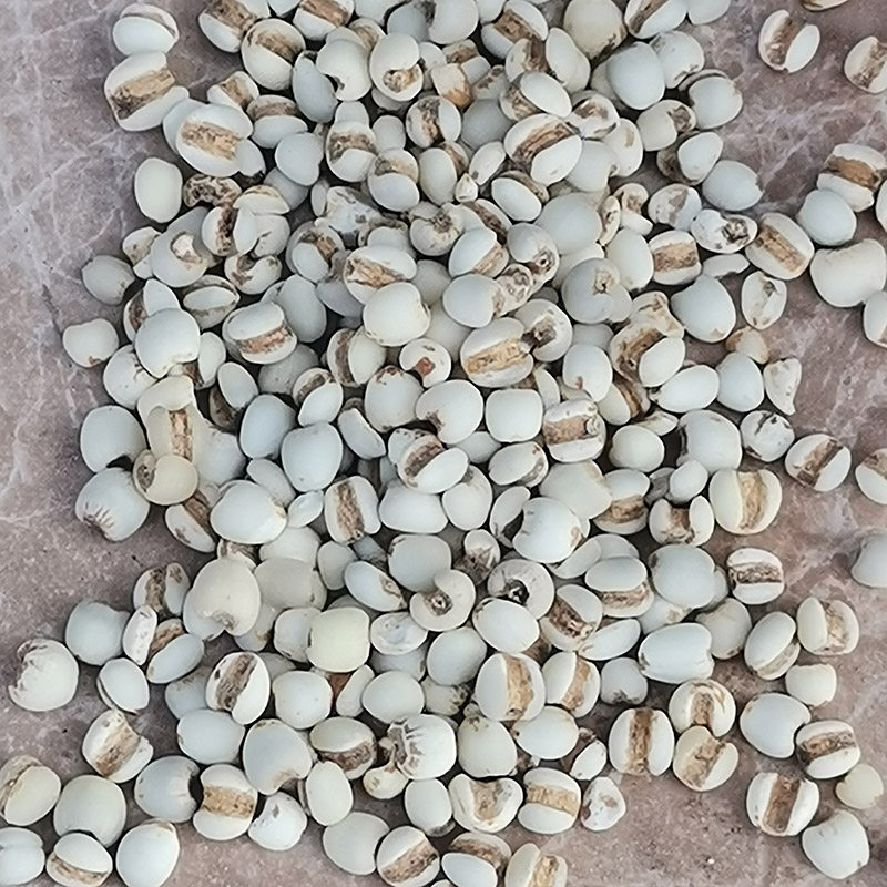 新鲜去壳云南小薏米正品农家自产薏米仁优质小薏仁米杂粮包邮,淘宝优惠券,粉丝福利购,淘宝优惠卷