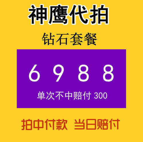 神鹰代拍 沪牌代拍牌照汽车 车牌代拍上海车牌拍牌 代拍沪牌 - 图2