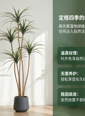 狸花仿真绿植盆栽轻奢高端龙血铁树叶室内客厅仿生植物落地摆件