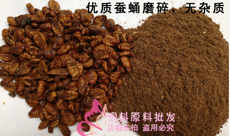 天然现磨蚕蛹粉鱼饵料垂钓打窝料钓饵鲤鲫青鳊鱼饵添加剂黑坑竞技,淘宝优惠券,粉丝福利购,淘宝优惠卷