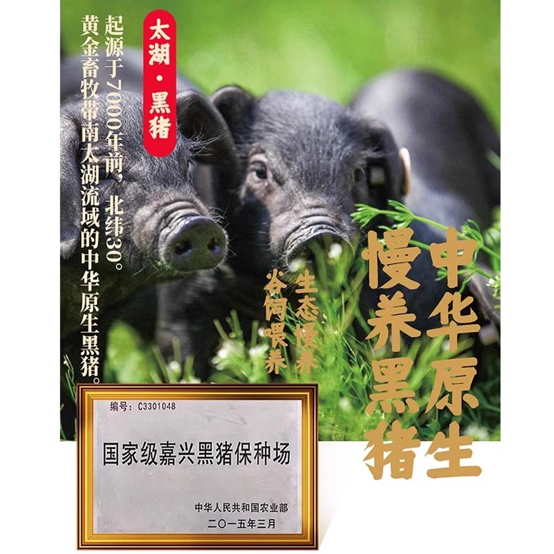 致美斋诸老大粽子礼盒丰礼粽嘉兴肉粽豆沙蜜枣粽端午节2024新款