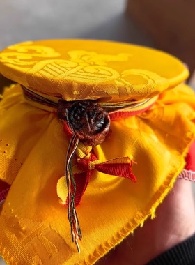 不丹洛扎卡楚贡巴南开宁波RBQ制莲师财神宝瓶卡秋喀楚拉康地藏龙W